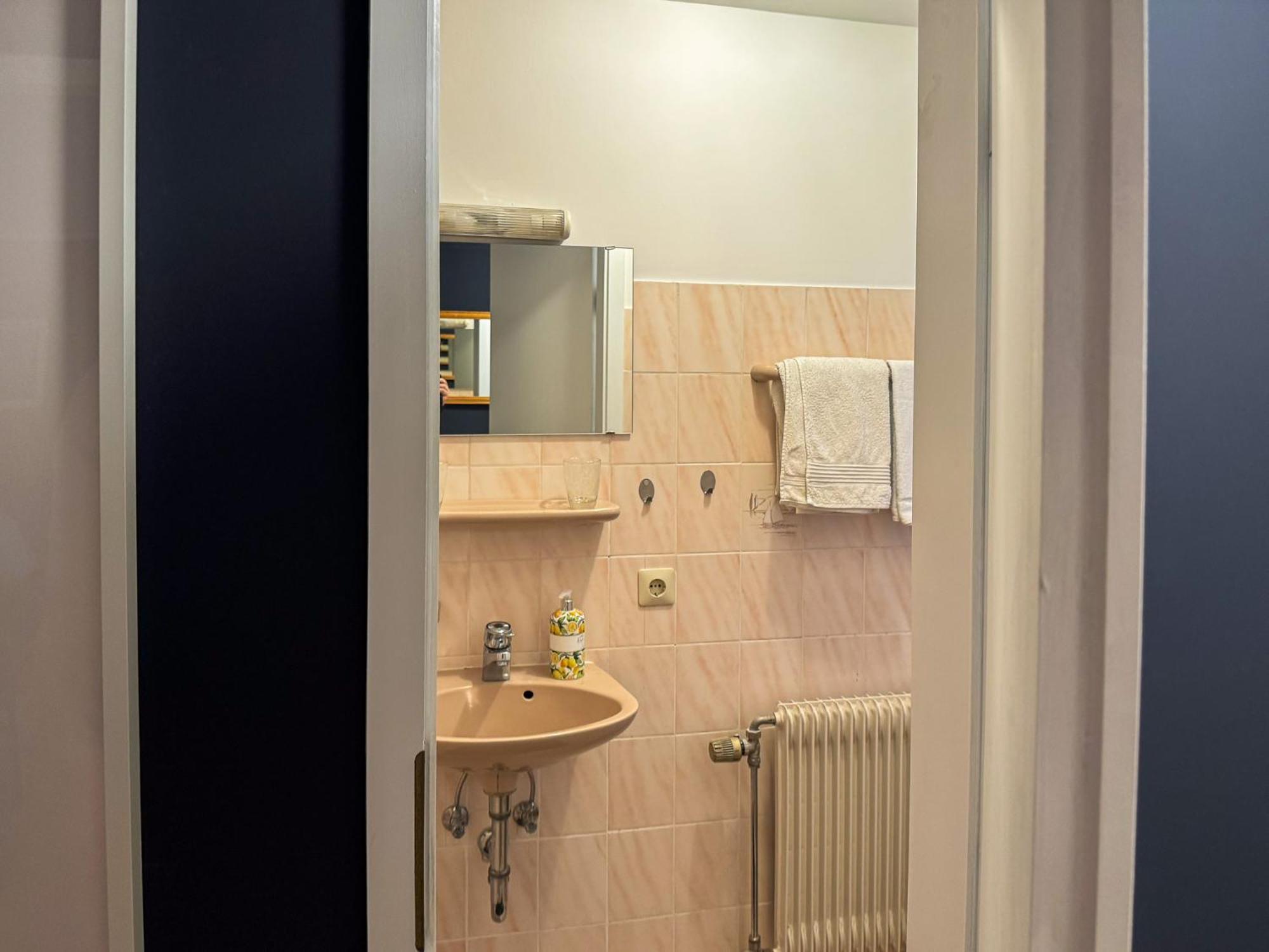 Apartment Parkplatz Garten Rad-Garage Freiburg im Breisgau Eksteriør billede